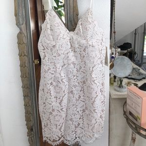 Willow Lace Bodycon Dress